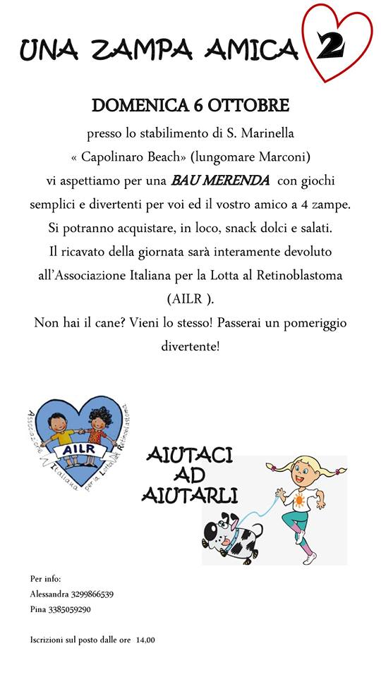 Una zampa per amica 2 locandina