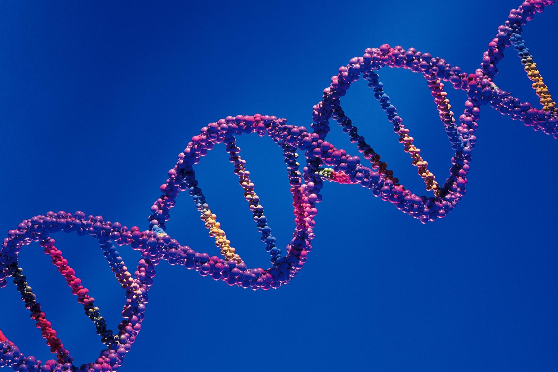 Divergenza genetica e cura del retinoblastoma