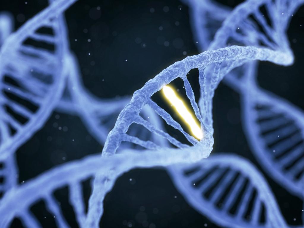 Genome Editing: i passi avanti del team italiano